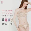 【返品交換0円】シン・胸不二子ブラ | 育乳ブラ ブラジャー ショーツ バストアップブラ 脇肉 脇高 下着 脇高ブラ ブラショーツ ブラ 盛りブラ 育乳 ブラセ...