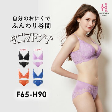 【送料無料】【返品交換0円】 タニマドンナ ブラ&ショーツ SET FGH カップ 大きいサイズ| 育乳ブラ ブラジャー 補正下着 ショーツ バストアップ 脇肉 セット レディース いくにゅうぶら はみ肉 脇高 寄せ 上げ スッキリ 背中 すっきり バストアップブラ g65 f65 黒 ブラ 上下