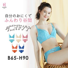 【返品交換0円】 タニマドンナ ブラ&ショーツ SET BCDEカップ 育乳ブラ | ブラジャー 補正下着 ショーツ バストアップ 脇肉 脇高 下着 脇高ブラ ブラ ブラショーツ 育乳 補正ブラ 盛りブラ セット 上下セット パンツ 補正 大きいサイズ Gカップ 下着セット 補整 女性下着