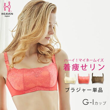 【在庫限り】大きな胸を小さく見せる 着痩せリン | 育乳 ブラジャー 補正下着 ブラ 脇肉 大きいサイズ 胸 補正ブラ 背中 響かない 胸を小さく見せるブラ 産後 Hカップ 小さく見せるブラ シームレス セクシー 胸つぶし 脇肉ブラ 谷間隠し 贅肉 下垂 サイズダウン