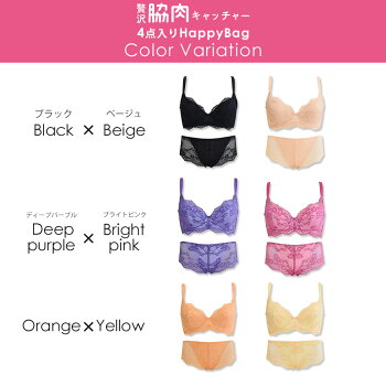 ブラ&ショーツ2色SET【正規品】贅沢脇肉キャッチャーHappyBag流れる脇肉をバストへ|育乳ブラブラジャーショーツセットショーツセットバストアップバストアップブラレディース補正下着脇肉スッキリいくにゅうぶら下着寄せ上げ胸垂れない下垂