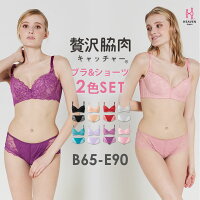 【返品交換0円】ブラ&ショーツ2色SET 贅沢脇肉キャッチャー HappyBag 下着| 育乳ブラ ブラ 補正下着 バストアップブラ バストアップ 脇肉 脇高 背肉 ブラセット ブラジャー ショーツ セット 脇高ブラ レディース 女性 小胸 補正ブラ 育乳 補正 胸 はみ肉 ブラショーツ 盛ブラ