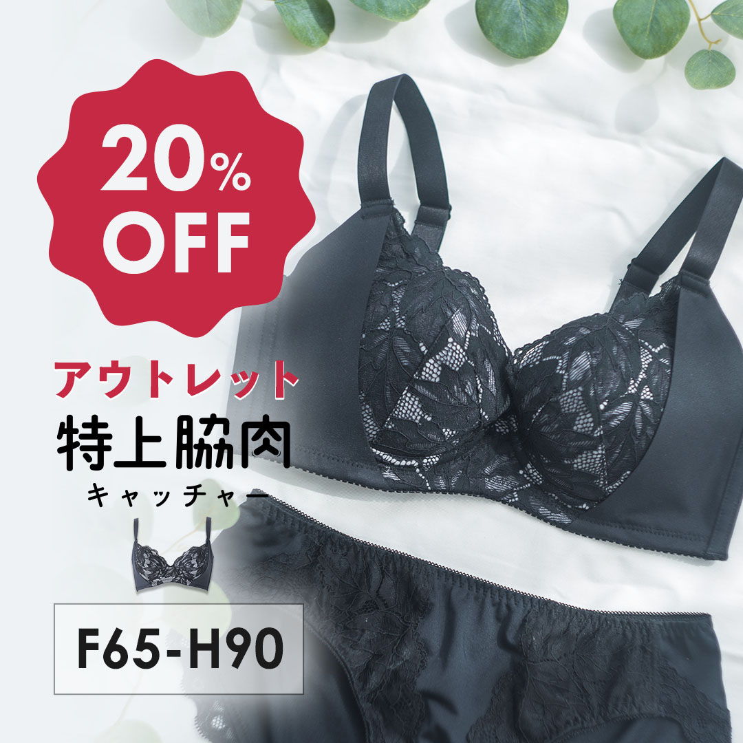 【アウトレット 20%OFF】特上脇肉キャッチャー FGH カップ 脇高ブラ 脇肉 背中すっきり | 育乳ブラ 脇肉キャッチャー ブラジャー 補正下着 下着 バストアップブラ 大きいサイズ バストアップ ブラ 垂れ 寄せ はみ肉 背中 補正 盛れる かわいい 着痩せのサムネイル