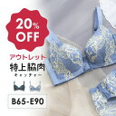 【アウトレット20%OFF】 特上脇肉キャッチャー BCDEカップ 脇高ブラ 脇肉 スッキリ 背中すっきり | 育乳ブラ 育乳 ブラジャー バストアップ バスト...