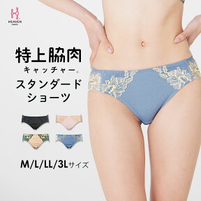 特上脇肉キャッチャー お揃いショーツ| 大きいサイズ ショーツ パンツ レース パンティ ll 深履き 深め ハイウエスト 深ばきショーツ 股上深め 3l ハイウェスト 下着 ハイウエストショーツ レースショーツ 女性 単品 女性ショーツ レースパンツ レディース下着 かわいい 婦人