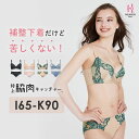 楽天HEAVEN Japan 楽天市場店【返品交換0円】 特上脇肉キャッチャー ブラジャー＆ショーツSET 脇高ブラ 脇肉| 育乳ブラ ブラジャー ショーツ バストアップブラ 下着 ブラ 脇高 補正ブラ 育乳 ブラショーツ セット 盛れるブラ 上下セット ランジェリー 盛りブラ 補正下着 補正 パンツ 下着セット 女性下着