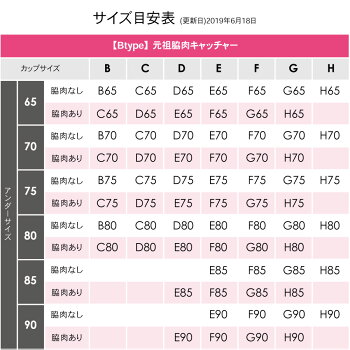 【返品交換0円】元祖脇肉キャッチャー脇高ブラ脇肉スッキリ背中すっきり|育乳ブラ育乳ブラジャーバストアップブラバストアップいくにゅうぶらブラ大きいサイズ肉胸垂れ補正ブラ背中谷間着やせ導きバスト補正着痩せ補正下着寄せ上げはみ肉