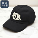 【SUMMER SALE&P5倍】ディオール/DIOR