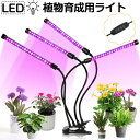 【P10倍 100円クーポン配布】植物育成ライト LED 植物育成 観葉植物 多肉植物育成 育成ライト 植物 ライト 80LED 40W 室内栽培 水耕栽培 野菜工場 ledライト 3モード調色 9段階調光 360度調整 タイマー機能 梅雨時期 冬 日照不足解消 省エネ USB電源式 クリップ式