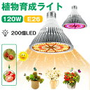 【期間セール】植物育成ライト LED 200個 E26 口金 電球 育苗ライト 観葉植物 多肉植物 効果 120W相当 赤色&暖色 フルスペクトラム プラントラ...