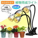 植物育成ライト led タイマー LED植物育成灯 観葉植物 多肉植物 4灯式 フルスペクトル 5階段調光 104LED 育成ランプ 3色モード 室内栽培ライト 水耕栽培ランプ 360°調節可能 光補足 日照不足解消 植物成長を促進 クリップ式 母の日 父の日