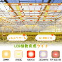 【P10倍★大型栽培624個LED】植物育成ライト LED 大型栽培育成ライト パネル 室内 屋外 フルスペクトル 観葉植物 多肉…