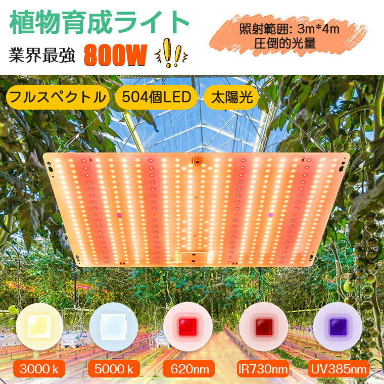 【最大777円クーポン配布★504個LED】植物育成ライト LED パネル 室内 植物 育つ ライト 高輝度 フルスペクトル 暖色 LED植物育成ライト 水耕栽培ライト 2段階調光 植物育成用ledパネル 観葉植物 育苗ライト 光合成促進 植物栽培ライト 低消耗 省エネ 家庭菜園