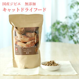 CATSTANCE 鹿肉 キャットフード ドライタイプ 鹿肉ドライ 1kg×1袋 国産 無添加 カリカリ キャットスタンス 猫用 ドライフード ネコ ねこ 全年齢対応