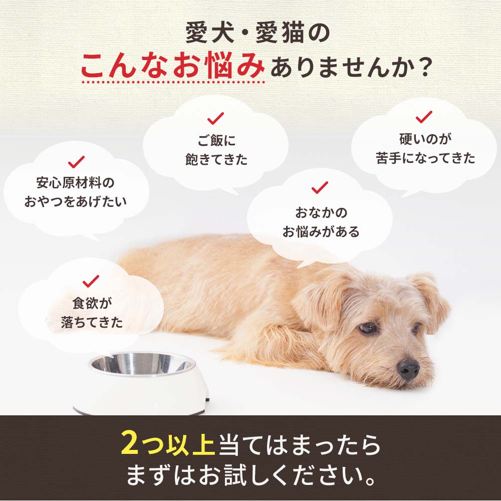 送料無料 ドッグスタンス 食いつき抜群 鹿肉ピューレ お得なお試しセット 鹿ピューレ（乳酸菌H61入）10gx30本 スティックタイプ 国産 無添加 犬用 オヤツ シニア犬 高齢犬 成犬 パピー DOG STANCE ドッグフード ima-coco-10000843 イマココ・ストア サンプル画像3