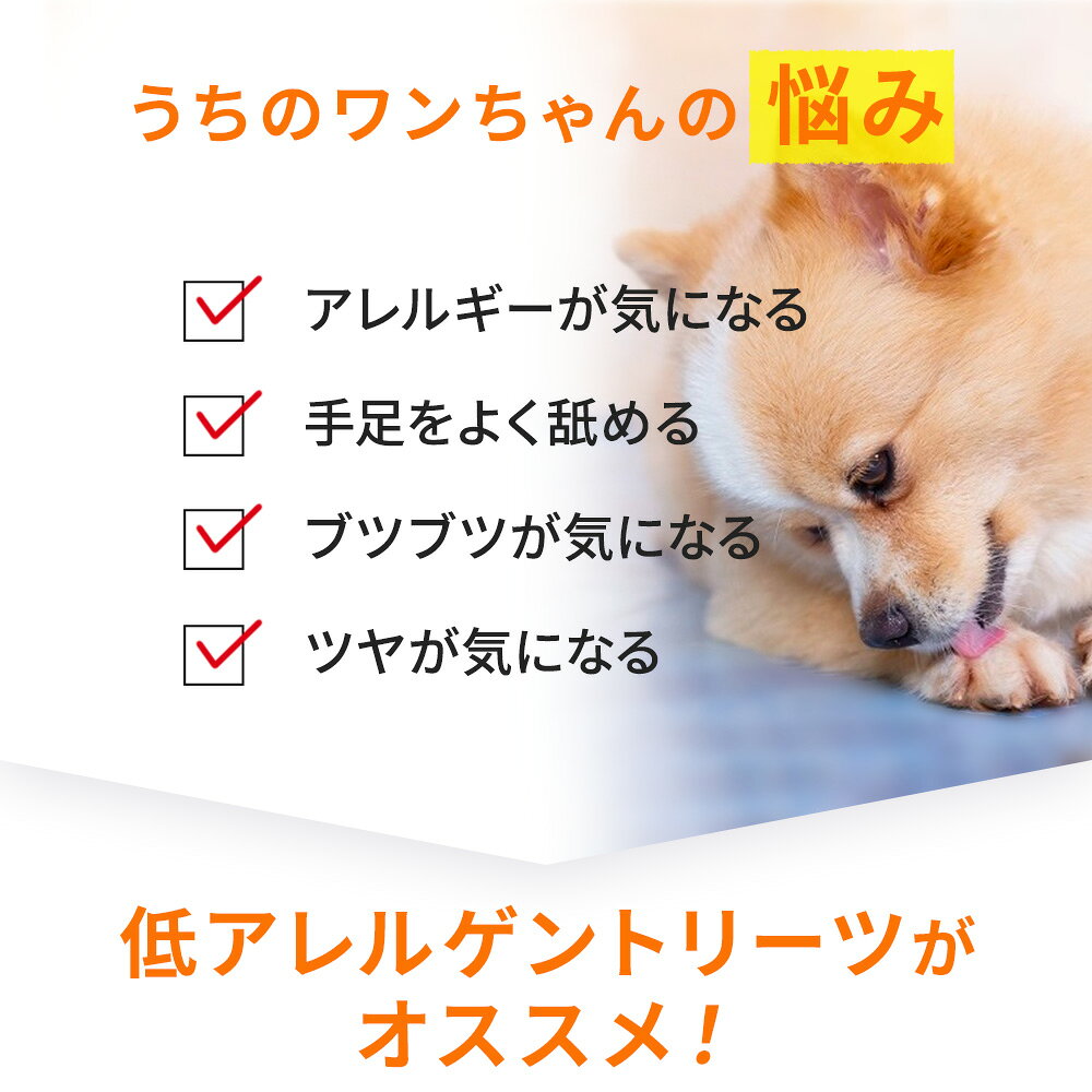 鹿肉 ジャーキー 無添加 犬 ドッグスタンス 鹿肉おやつ お得なお試しセット 鹿肉ジャーキー（チップ）54gx3袋 国産 犬用 オヤツ おやつ 低アレルゲン トリーツ 食物アレルギー 皮膚炎 シニア犬 高齢犬 成犬 パピー DOG STANCE ネコポス送料無料 ima-coco-10000920 イマココ・ストア サンプル画像2
