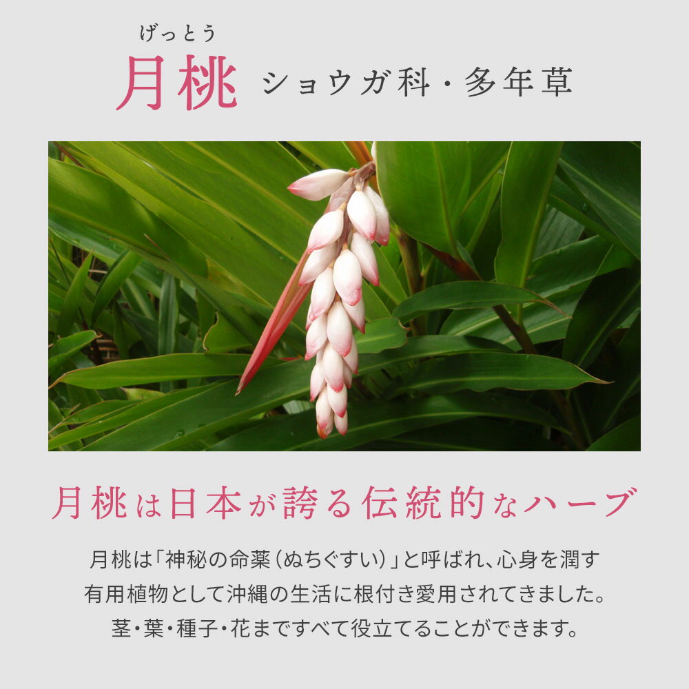 ムーンピーチ サーキュレイトオイル 20ml 月桃 スキンケア ゲットウ 保湿 日本製