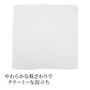TAKEFU 国産洗顔クロス さらさら 肌ざわり シンプルデザイン 定番 消臭 抗菌