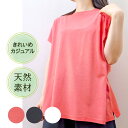 TAKEFU 竹布 ショートスリーブ Tシャツ 竹天然繊維 たけふ 抗菌 敏感肌 アトピー オーガニック 肌にやさしい 天然繊維 竹繊維 タケフ ナファ インナー ナファ生活研究所 nafa 保温 ネコポス 送料無料