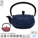 南部鉄器 急須 おしゃれ 日本製 カラーポット 0.3リットル 藍色 桜色 ティーポット 花織り模様 モダン かわいい 可愛い 茶こし付 内部ホーロー加工 及春...
