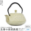 南部鉄器 急須 腰張型桜 0.5リットル アイボリー カラーポット おしゃれ 日本製 ティーポット 桜模様 モダン かわいい 可愛い 茶こし付 内部ホーロー加工...