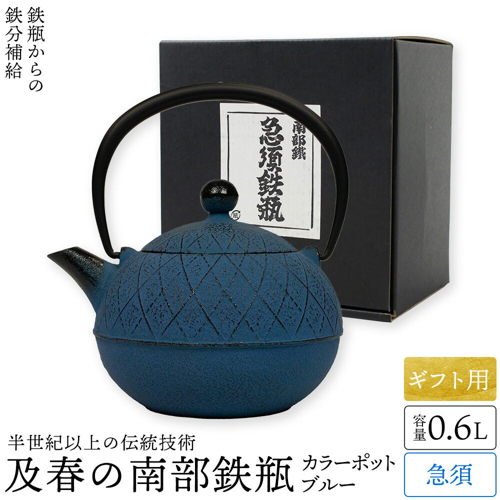 ギフト用 南部鉄器 急須 おしゃれ 日本製 カラーポット ブルー 0.6リットル ティーポット アーガイル模様 モダン 丸い かわいい 可愛い 茶こし付 内部ホーロー加工 及春鋳造所 鉄瓶 取っ手 人気 ギフト おすすめ プレゼント 割れない 和食器 父の日 母の日 敬老の日のサムネイル