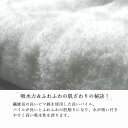 imabaritowel-center:10000005のサンプル画像3