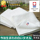 今治タオル ハンドタオル 今治生まれの白いタオル ウォッシュタオル 専用袋入り (ギフト 今治タオルブランド認定 名入れ 刺繍 日本製 国産 今治製)