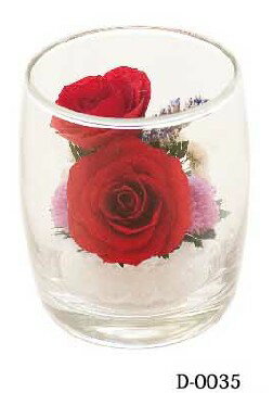 プリザーブドフラワー(グラス) 母の日のプレゼントにおすすめです【送料無料】ボトルフラワー グラスフラワー hanagonomi 自然の花を丁寧に加工しています D-0035