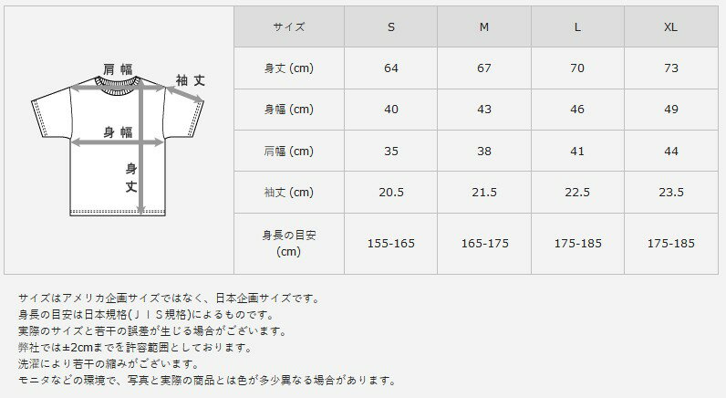 【ゆうパケットで送料無料】 ヘインズ BEEFY-T HM1-T102 XLサイズ ブラック リブVネックTシャツ 無地 半袖 メンズ レディース ユニセックス Hanes ビーフィー コットン 黒 【楽ギフ_包装】