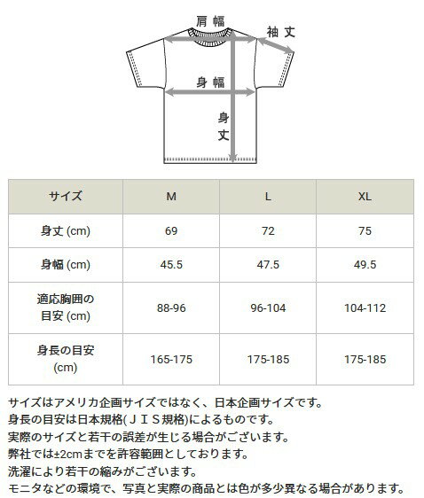 【ゆうパケットで送料無料】 チャンピオン CM4HP261 ブラック×ゴールド 981 Mサイズ メンズ モックネックロングスリーブTシャツ 長袖シャツ 肌着 吸汗速乾 Champion ヘインズ 【楽ギフ_包装】