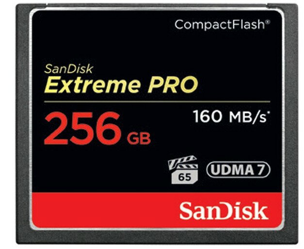 y䂤pPbgőzSANDISK TfBXN SDCFXPS-256G-J61 GNXg[ v RpNgtbV 256GB