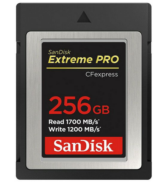 yzSANDISK TfBXN SDCFE-256G-JN4NN GNXg[ v CFexpress Type B J[h 256GB