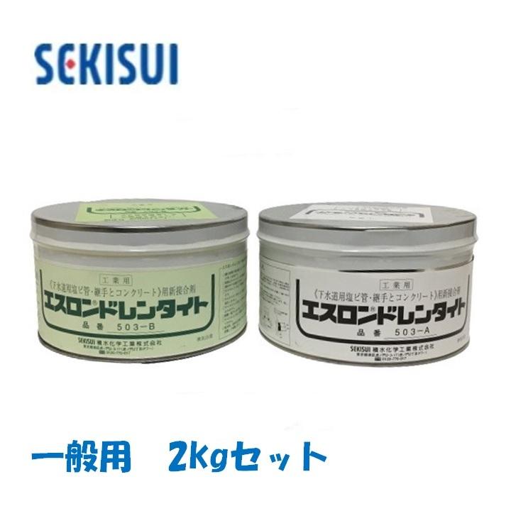 積水化学工業 エスロンドレンタイト 一般用 N503-2　2kgセット（1kg＋1kg） 夏用