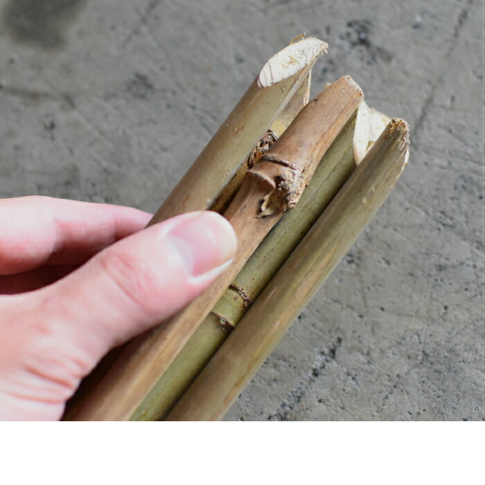 女竹 めだけ 根尖り加工 100本セット 4尺（120cm） 3