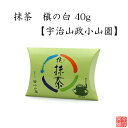 槇の白 40g 【 抹茶 宇治 山政小山園 】