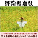 岩船産コシヒカリ 5kg 令和5年産 新潟産 米【送料無料】(北海道、九州、沖縄除く) 3