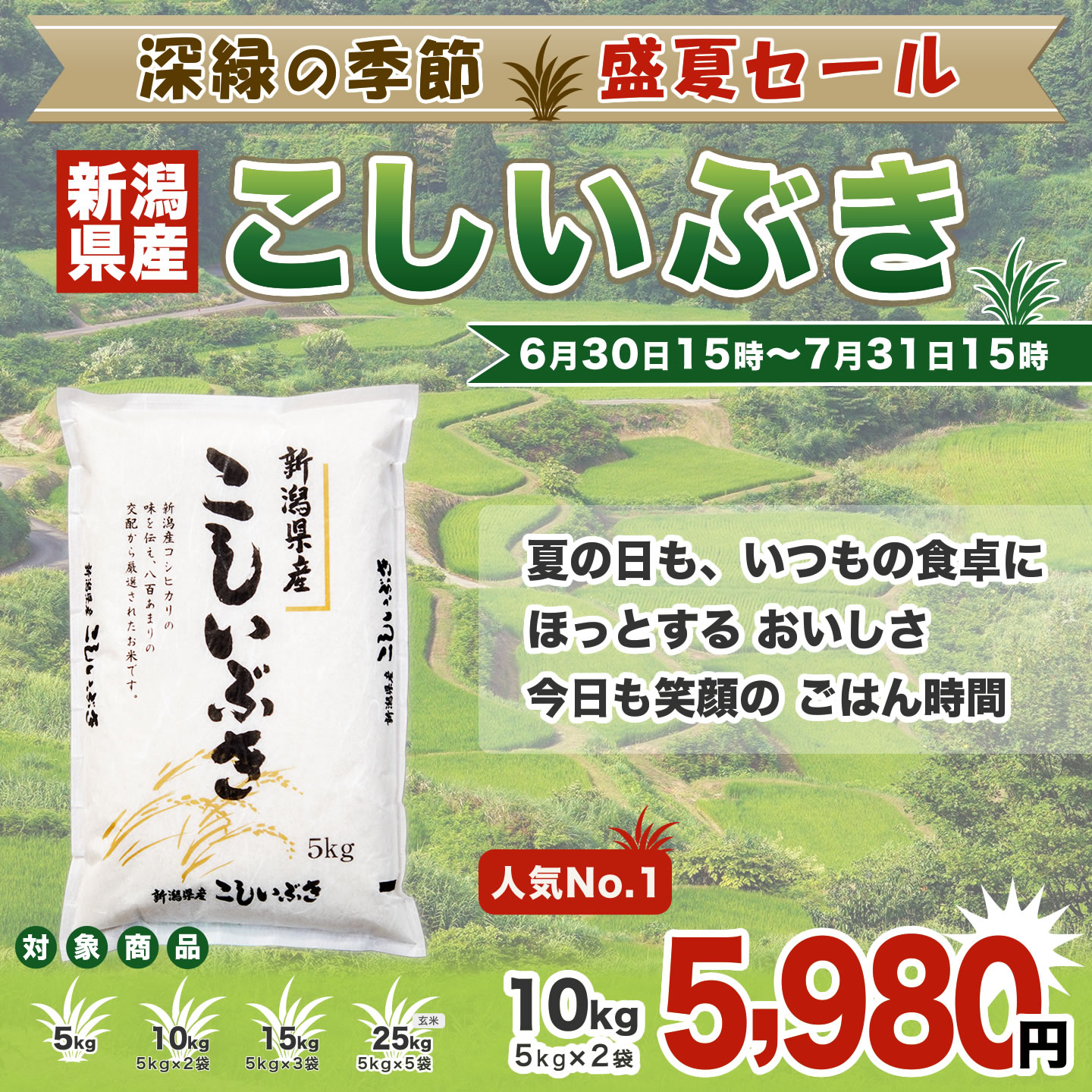 令和7年産 新潟産 こしいぶき 25kg(5kg×5袋) 玄米【盛夏セール】 imagi-10000205 お米プラザ新潟[楽天市場店] サンプル画像2