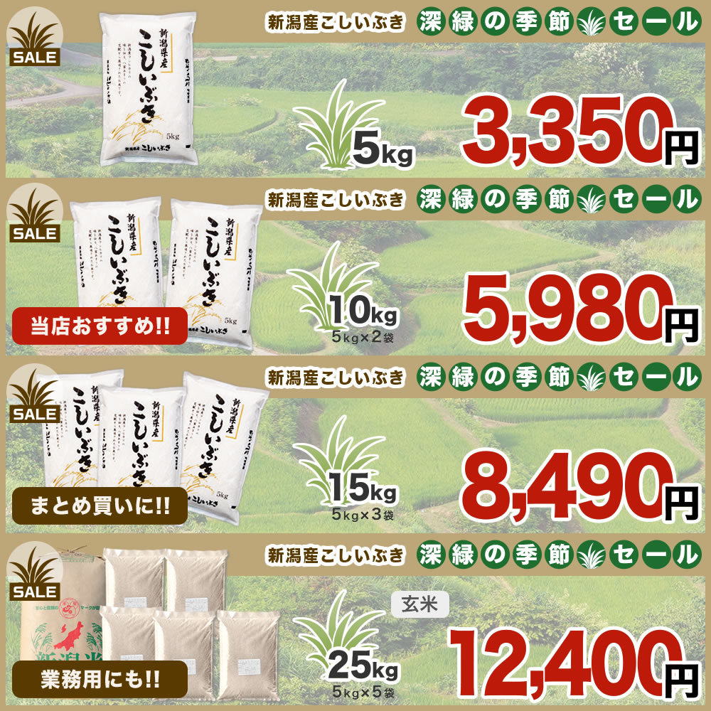 令和7年産 新潟産 こしいぶき 25kg(5kg×5袋) 玄米【盛夏セール】 imagi-10000205 お米プラザ新潟[楽天市場店] サンプル画像3