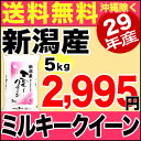【新米】ミルキークイーン 5kg 29年産 新潟産 米 【送料無料】(沖縄を除く)