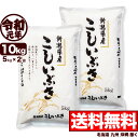 新潟県産 こしいぶき 10kg(5kg×2) 令和元年産 米 【送料無料】(北海道、九州、沖縄除く)