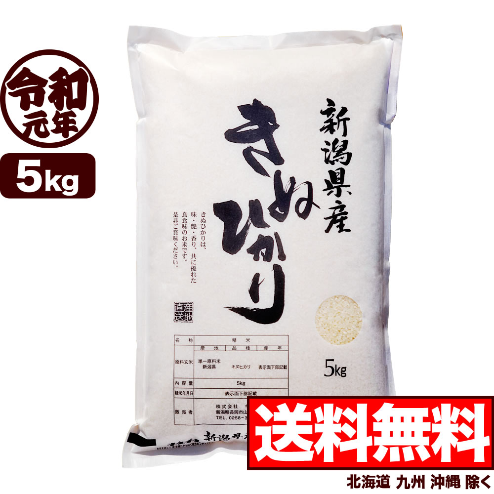 新米 キヌヒカリ 5kg 令和元年産 新潟産 米【送料無料】(北海道、九州、沖縄除く)