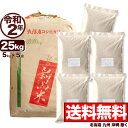 中魚沼産コシヒカリ 玄米 令和2年産 米 25kg 【送料無料】(北海道、九州、沖縄除く)