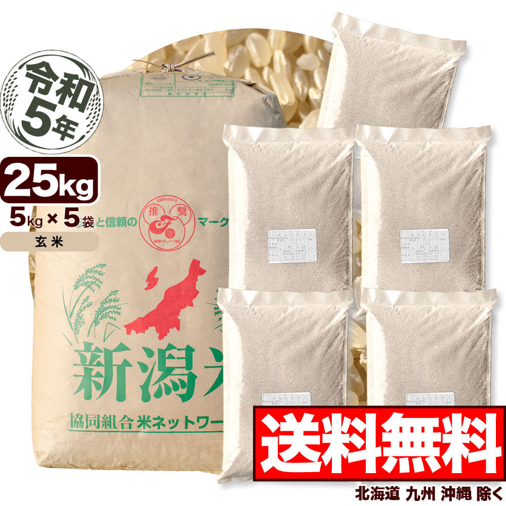 岩船産コシヒカリ 玄米 令和5年産 新潟産 米 25kg【送
