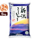 新潟産コシヒカリ 山並 5kg 令和6年産 米