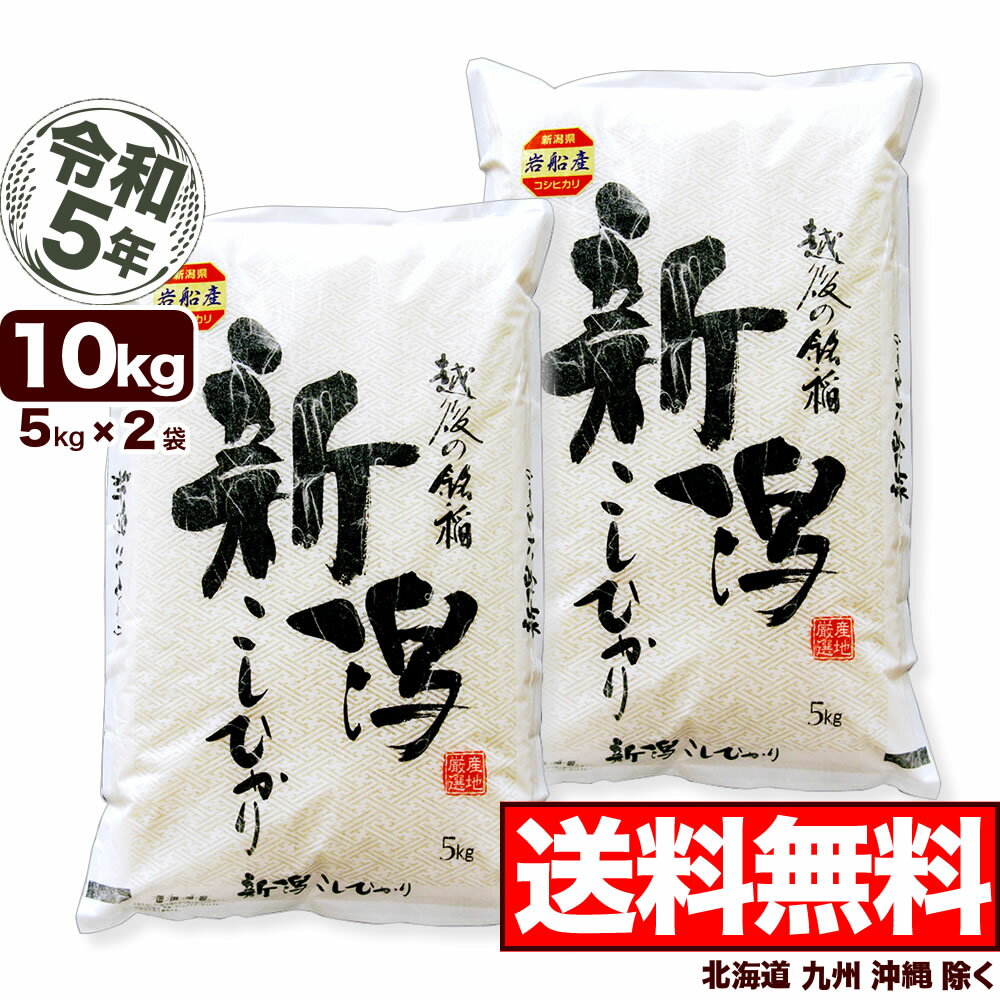 岩船産コシヒカリ 10kg(5kg×2) 令和5年