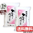 ミルキークイーン 10kg(5kg×2袋) 新潟県産 令和5年産【送料無料】(北海道 九州 沖縄除く)