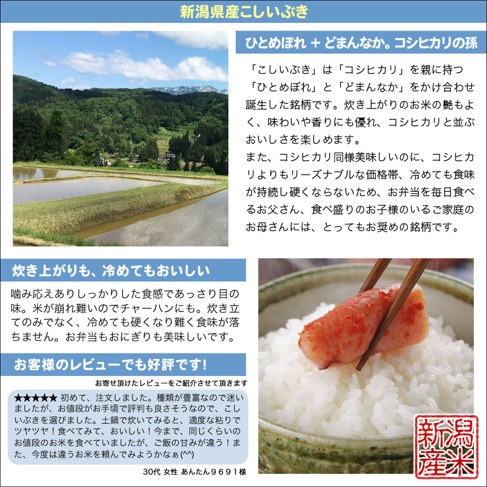 新潟県産 こしいぶき 10kg(5kg×2) 令和3年産 米 【送料無料】(北海道、九州、沖縄除く)【当店のお奨め銘柄】