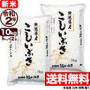 新米 新潟県産 こしいぶき 10kg(5kg×2) 令和2年産 米 【送料無料】(北海道、九州、沖縄除く)