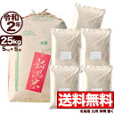 新潟県産 こしいぶき 玄米 令和2年産 米 25kg 【送料無料】(北海道、九州、沖縄除く)